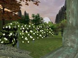 rivendell33a