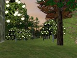 rivendell36a