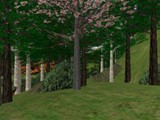 rivendell38a
