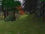 rivendell45a