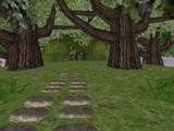 image366