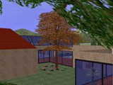 image011