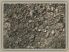 sv-ground1