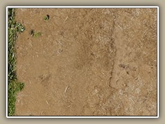 sv-ground12a
