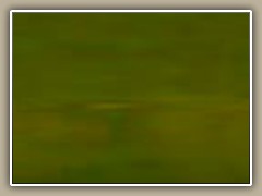 sv-hplant02a