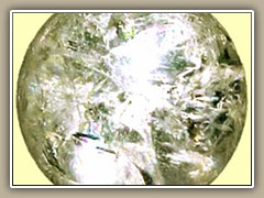 sv-llens1