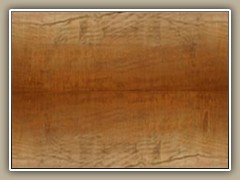 sv-log04