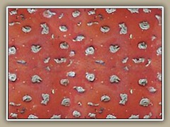 sv-mushroom1a