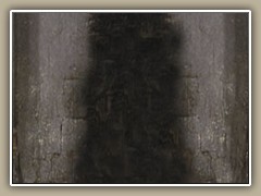 sv-pkfrpl1