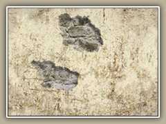 sv-rmwall9a