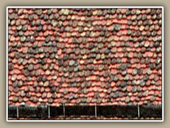 sv-roof19a