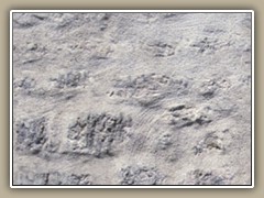 sv-stucco5