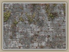sv-wall02